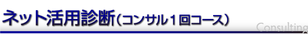 ネット活用診断(コンサル1回コース)