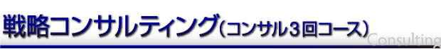戦略コンサルティング（コンサル3回コース）