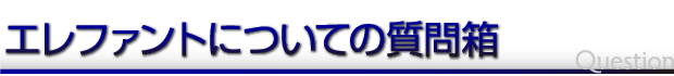 エレファントについての質問箱