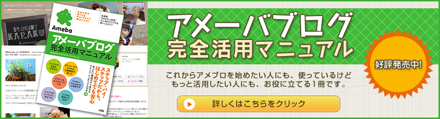 アメーバブログ完全活用マニュアル