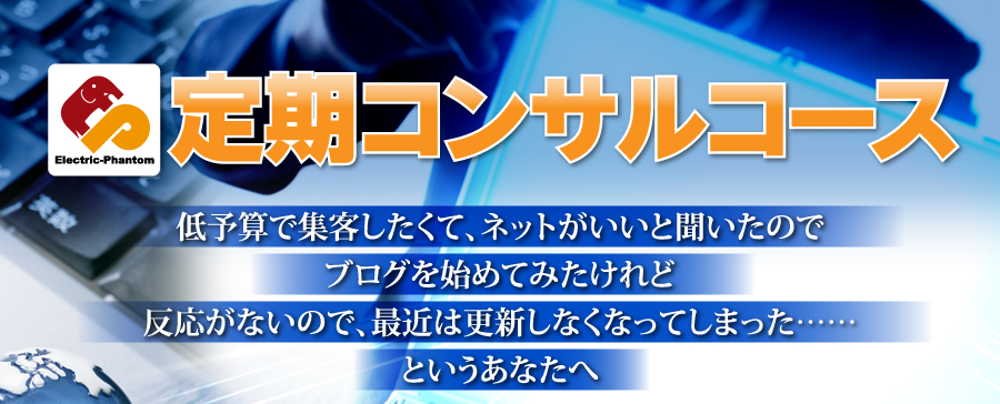 エレファントの定期コンサルコース